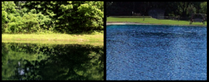 Pond & Lake Dyes